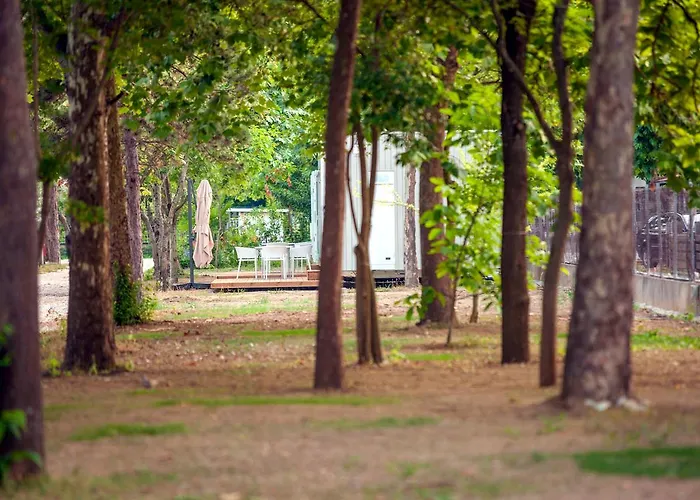 Camping Aurora And Mobile Homes